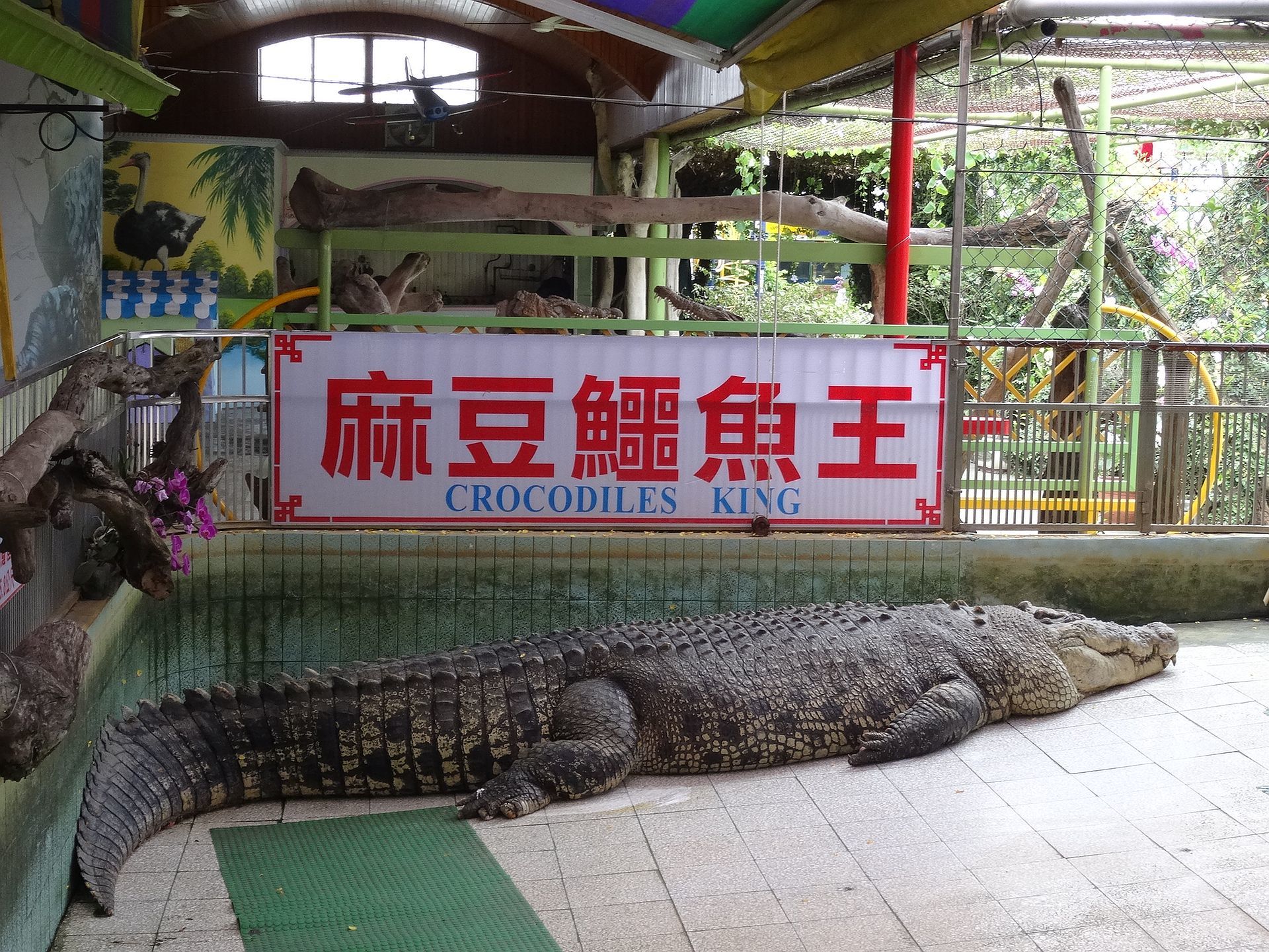 crocodile-king